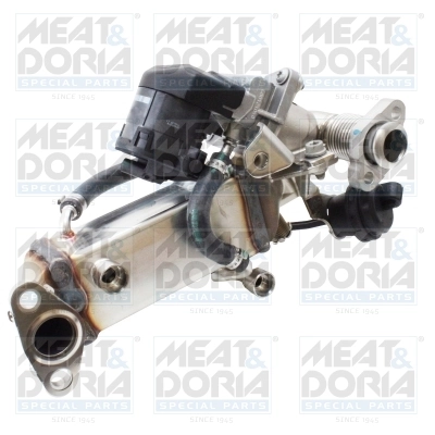 EGR Module
